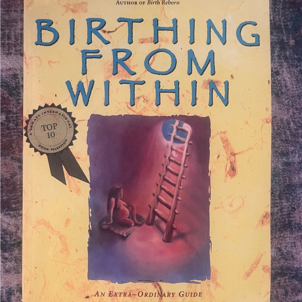 Birthing From Within Book